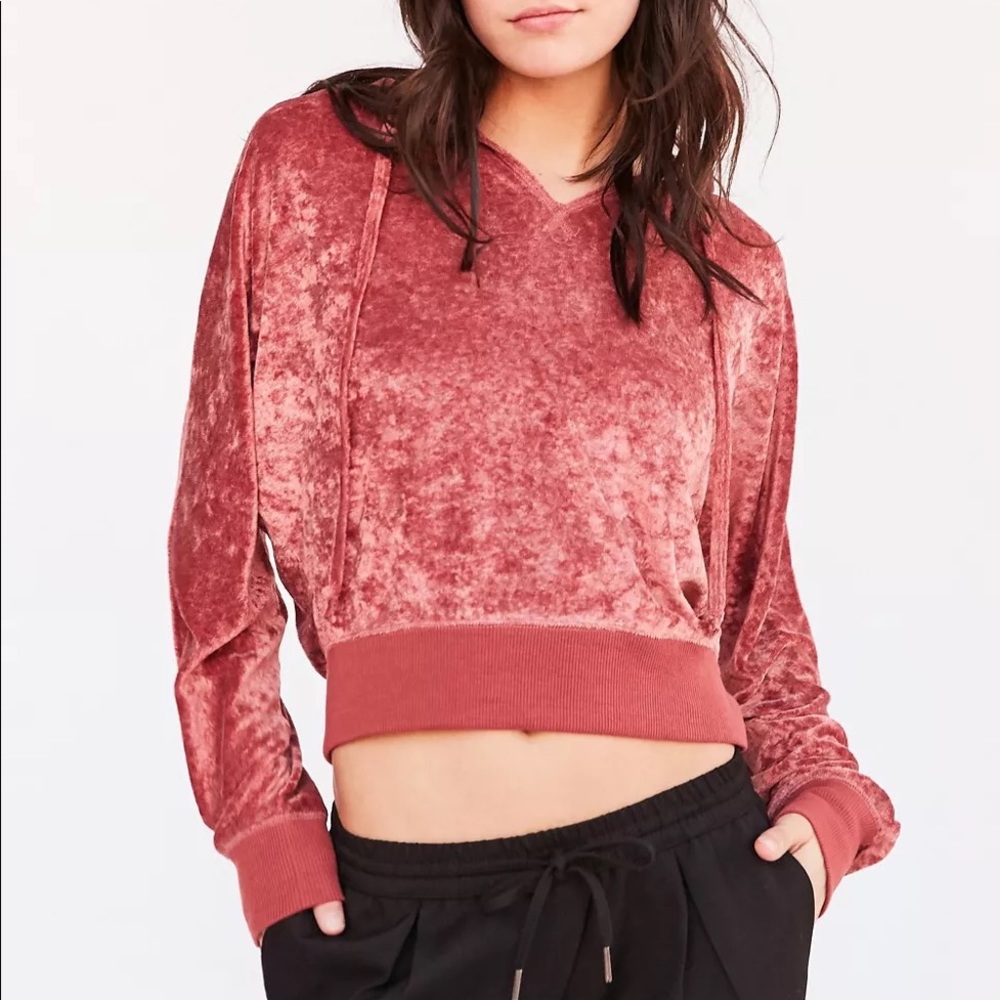 Urban Outfitters Velour Hoodie